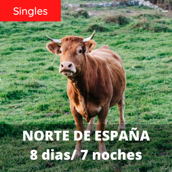 Singles Norte de España 8 dias / 7 noches